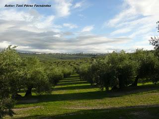 Las 10 Maravillas de Villacarrillo (Jaén)