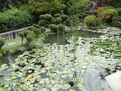 Jardín Japonés del Parque Metropolitano