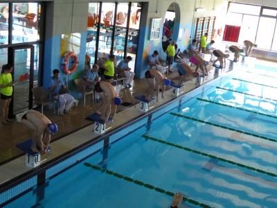 Gran éxito en el Campeonato de España de Natación para Discapacitados Intelectuales Campeonato de Natación Discapacidad Intelectual