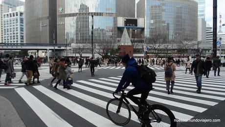 Tokio; Ginza y el mercado de pescado Tsukiji