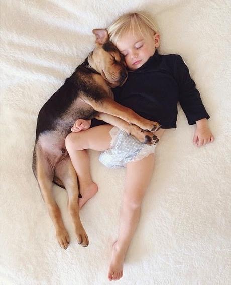 9 imágenes de amor perruno que no necesitan presentación amor-perruno (4)