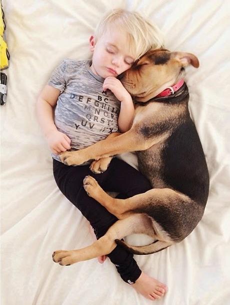 9 imágenes de amor perruno que no necesitan presentación amor-perruno (8)