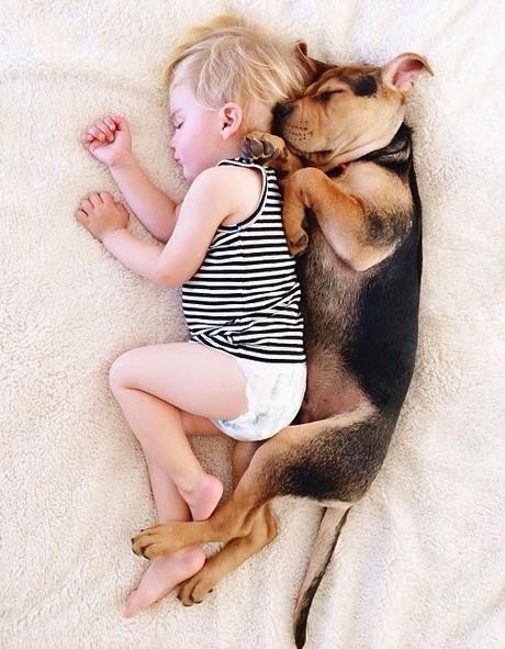 9 imágenes de amor perruno que no necesitan presentación amor-perruno (6)