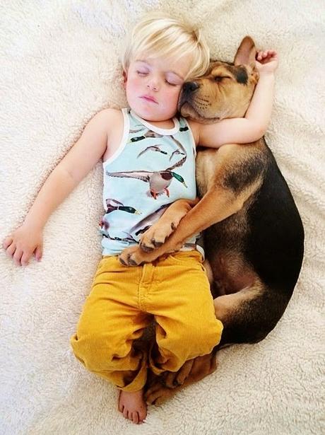 9 imágenes de amor perruno que no necesitan presentación amor-perruno (2)