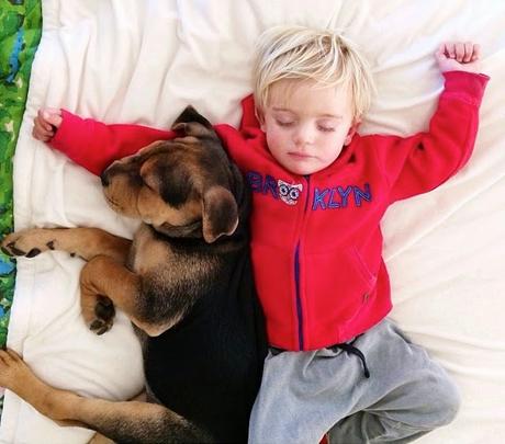 9 imágenes de amor perruno que no necesitan presentación amor-perruno (5)