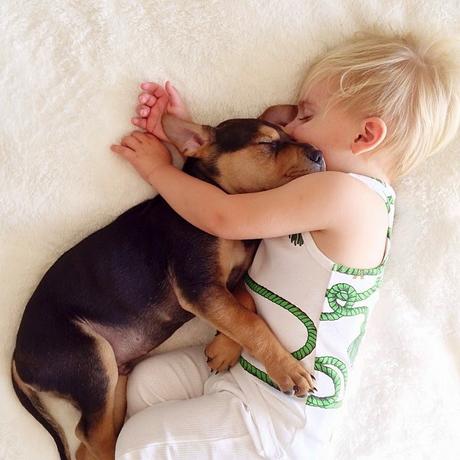 9 imágenes de amor perruno que no necesitan presentación amor-perruno (7)