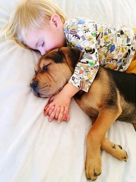 9 imágenes de amor perruno que no necesitan presentación amor-perruno (9)