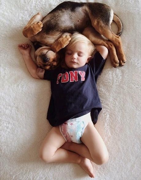 9 imágenes de amor perruno que no necesitan presentación amor-perruno (3)