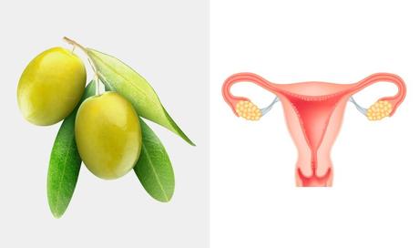 Frutas y verduras: alimentos beneficiosos similares a nuestro cuerpo olive ovaie