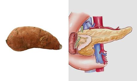 Frutas y verduras: alimentos beneficiosos similares a nuestro cuerpo patate pancreas