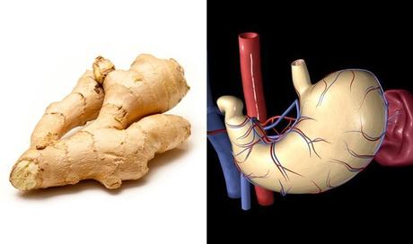 Frutas y verduras: alimentos beneficiosos similares a nuestro cuerpo zenzero stomaco
