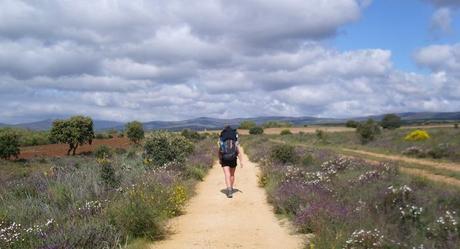 Consejos Para Llevar Una Vida Más Feliz Reglas felicidad