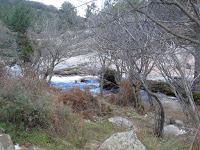 DE   PASEO   POR    LA    SIERRA    DE   LA   PEDRIZA