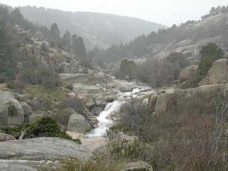 DE   PASEO   POR    LA    SIERRA    DE   LA   PEDRIZA