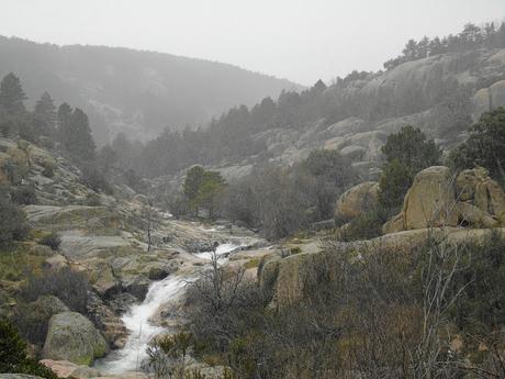 DE   PASEO   POR    LA    SIERRA    DE   LA   PEDRIZA