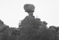 DE   PASEO   POR    LA    SIERRA    DE   LA   PEDRIZA