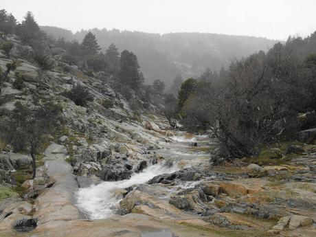 DE   PASEO   POR    LA    SIERRA    DE   LA   PEDRIZA