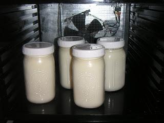 ¿Cómo preparar yogures caseros veganos?
