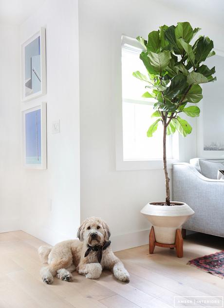 ANTES Y DESPUÉS DE UN RECIBIDOR CONVERTIDO EN SALA DE ESTAR ANTES Y DESPUÉS DE UN RECIBIDOR CONVERTIDO EN SALA DE ESTAR