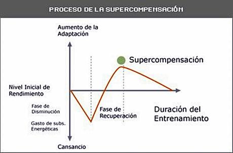 ¿Es conveniente terminar cansado después de entrenar? cansancio entrenamiento