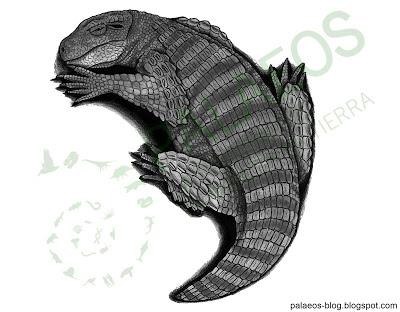 PALEOFICHA: Simosuchus clarki