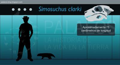 PALEOFICHA: Simosuchus clarki