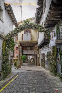 Flores en las calles de Cabezuela del Valle