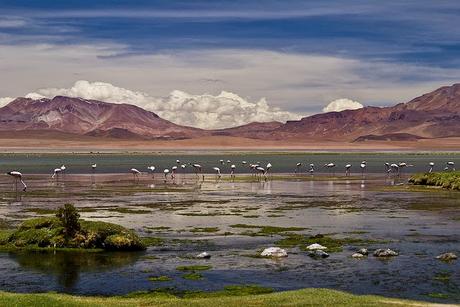 Viaja a la patagonia chilena en tu luna de miel - Foto: www.3.bp.blogspot.com Viaja a la patagonia chilena en tu luna de miel - Foto: www.3.bp.blogspot.com
