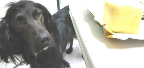 Por qué no dar margarina a tu perro (¡o a ti!) 20160316_220351-1