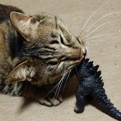 Gatos Versus Godzilla