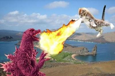 Gatos Versus Godzilla