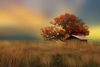 a disfrutar la VIDA!!! a disfrutar la VIDA!!!