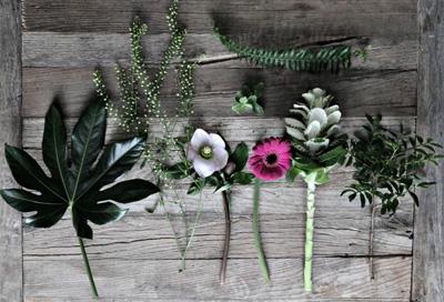 Cuadros con hojas y flores prensadas: DIY (III) Cuadros con hojas y flores prensadas: DIY (III)