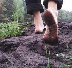 El que la sigue la consigue El que la sigue la consigue