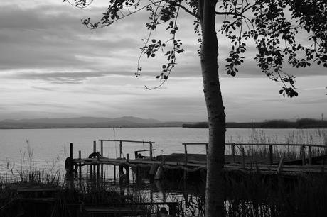 ARROZ DEL SENYORET ARROZ DEL SENYORET