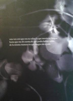 Macky Chuca: Saliva (y 3): Macky Chuca: Saliva (y 3):