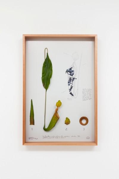 Alberto Baraya, Heroívora Bolivar, 2016, objeto plástico y tela “Made in China”, impresión en papel Hahnemühle, 84 x 53,5 x 11. Edición de 10 + 3PA. Cortesía de la galería