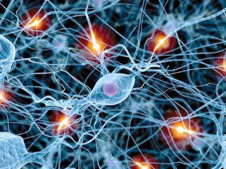 Stem-Cell-Innovation-Could-Treat-Parkinson’s