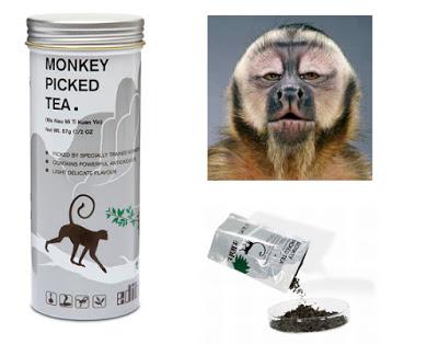 Explotación laboral. Monos recolectores de te. Explotación laboral. Monos recolectores de te.