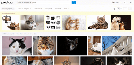 Pixabay: miles de imágenes gratuitas para usar en tu blog
