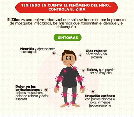 Si aún no conoces los síntomas del virus Zika y cómo protegerse, aquí te lo contamos Si aún no conoces los síntomas del virus Zika y cómo protegerse, aquí te lo contamos