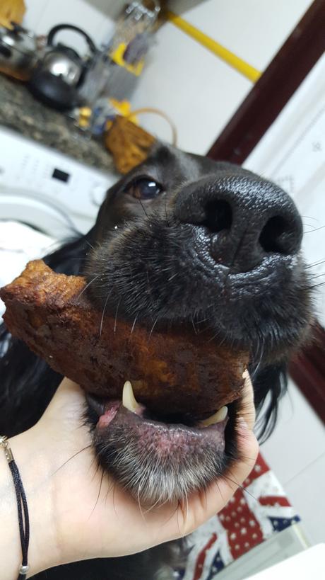 Receta de Torrijas para Perro 20160323_224943