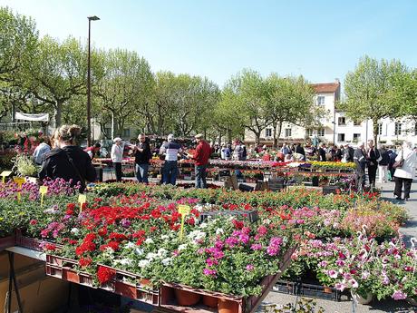 El Canal de Midi y sus esclusas. Visita de Béziers y Castelnaudary El Canal de Midi y sus esclusas. Visita de Béziers y Castelnaudary