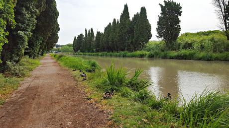 El Canal de Midi y sus esclusas. Visita de Béziers y Castelnaudary El Canal de Midi y sus esclusas. Visita de Béziers y Castelnaudary