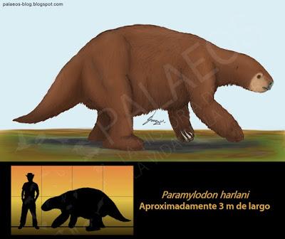 PALEOFICHA: Paramylodon harlani