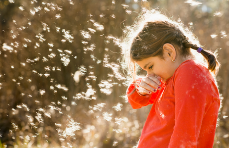 Alergia y asma: ¿cómo se relacionan? alergiaweb