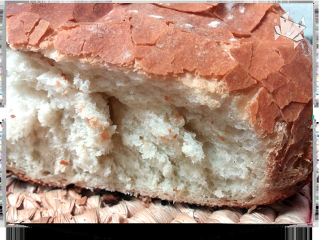 Una de piratas Una de piratas