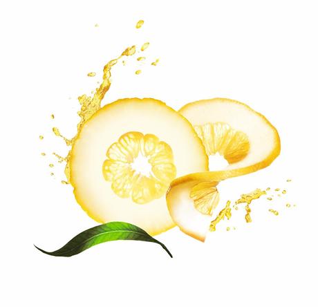 BIO-BEAUTÉ by NUXE presenta su nueva línea con Extracto de Cidra extracto de cidra