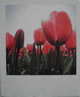 Marcapáginas. Editorial Salamandra (156) (Última actualización 31/3/2016) Marcapáginas. Editorial Salamandra (156) (Última actualización 31/3/2016)