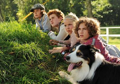 Mascotas de libro: Tim Mascotas de libro: Tim